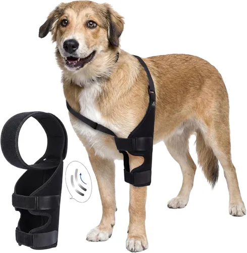Aliceset Codera protectora para perro para pierna delantera o trasera con placa de soporte de metal para perros medianos y grandes, coderas