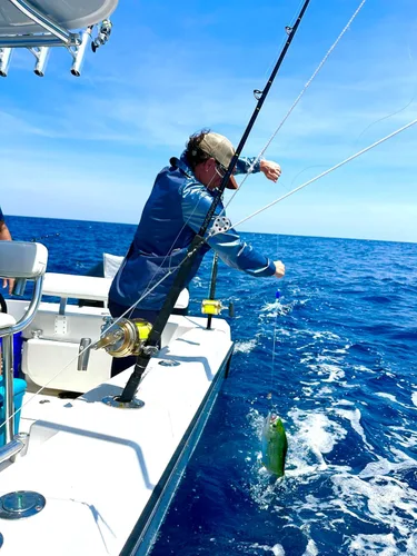 Miniatura 5 de Lobo Lures Micro-Typhoon UV 5 "Mahi Tuna Ahi Señuelo Trolling Señuelo Big Game Zuccini Verde