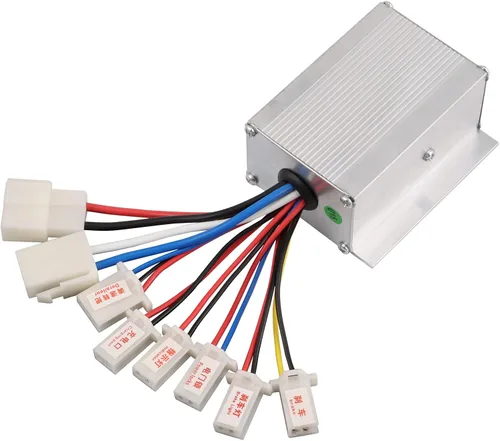 WOOSTAR Controlador de velocidad para motocicleta 24V 250W de repuesto para scooter eléctrico, bicicleta eléctrica, bicicleta, triciclo, cepillo