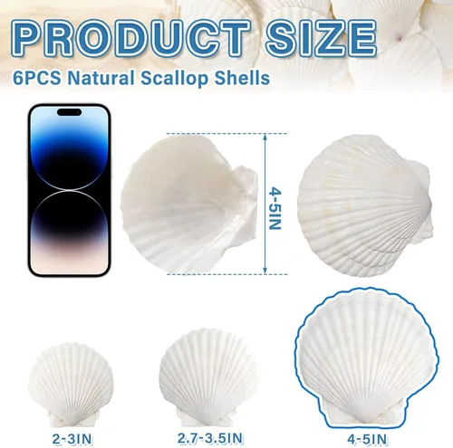 QEQEKAKA 6 conchas grandes de vieira para manualidades, conchas marinas blancas grandes de 4 a 5 pulgadas, para hornear y pintar, manualidades,