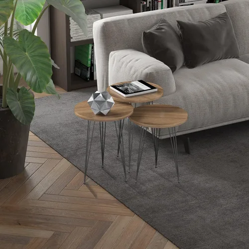 Juego de 3 anidados redondos, base moderna de aspecto de grano de madera para mesas de centro o mesitas de noche, mesa auxiliar, mesa auxiliar