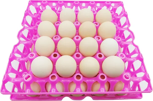 Miniatura 7 de Paquete de 6 bandejas de plástico para huevos de pollo para productos agrícolas, estantes para huevos, pato, 30 bandejas para poner huevos