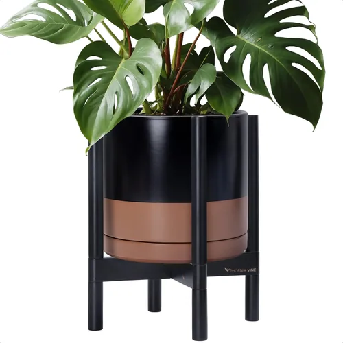 Miniatura 51 de D'vine Dev Maceta de cerámica con soporte de ébano – Maceta redonda moderna de 8 pulgadas con soporte para maceta de madera, color negro, 55-B-M-2