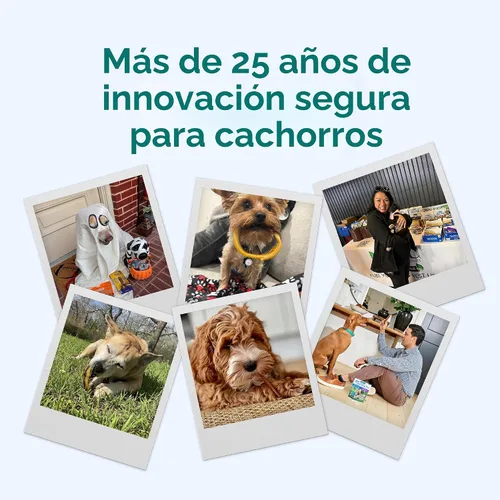Miniatura 7 de N-Bone Paquete variado de palitos de dentición para cachorros, sabor a pollo, calabaza y mantequilla de maní, total de 3 bolsas, 11.22 onzas