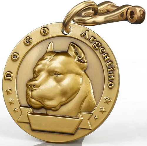 Etiqueta para perro retro de cobre puro tridimensional con estampado de mascotas en relieve, etiquetas de identificación con nombre grabado (Dogo
