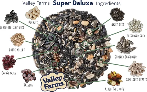 Miniatura 5 de Valley Farms Super Deluxe - Alimento para pájaros silvestres (15 libras) para comederos exteriores – 0% rellenos – cargas de semillas de girasol