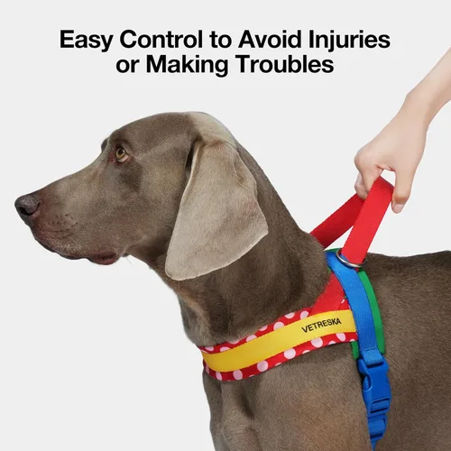 Miniatura 5 de VETRESKA MoMA Arnés para Perro para Perros Medianos y Grandes, Conjunto de Arnés y Correa Easy Walk para Perro, Arnés Tipo Chaleco Sin Tirones