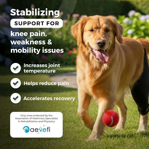 Miniatura 2 de Ortocanis Rodillera para Perro para Desgarro de LCA en Pata Trasera, Lesiones de Ligamento Cruzado, Dislocación de Rótula u Osteoartritis
