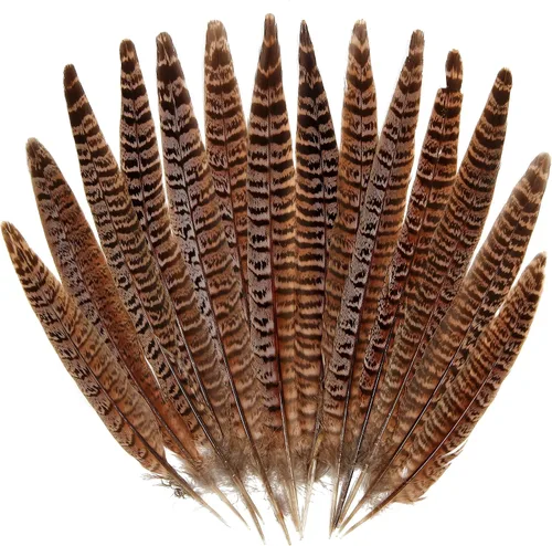 20 plumas de faisán hembra, plumas naturales de cola de cuello anillado, 6-8 pulgadas, 15-20cm para manualidades, hogar, boda, fiesta, actuación,