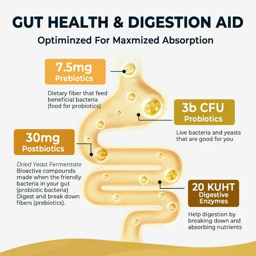 Miniatura 2 de Probiótico prebiótico y posbiótico 4 en 1 para mujeres y hombres, suplemento completo de apoyo intestinal y digestivo, probióticos pre post