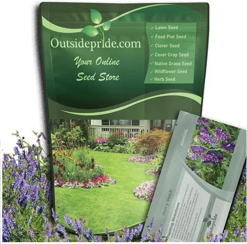 Outsidepride Hairy Vetch Cover Crop Seeds – 1 oz tolerantes al frío, resistentes al invierno, ideales para mejorar el suelo, pastos verdes, heno y