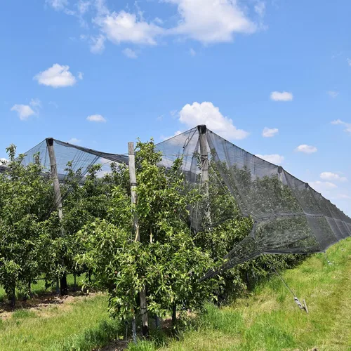 Miniatura 7 de Zonon Mosquitera para jardín, malla para insectos para jardín, patio, malla para mosquitos, insectos, pájaros, barrera para patio, balcón, porche