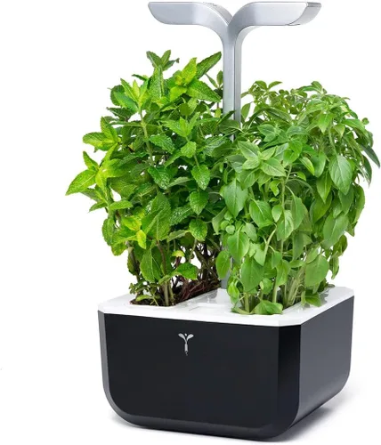Miniatura 5 de Jardín interior inteligente de Véritable® - Exky Smart Arctic White - 2 lingots® incluidos