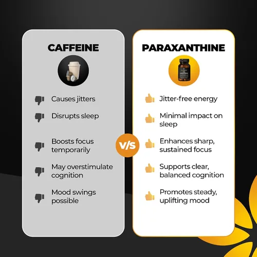 Miniatura 6 de Enfinity Cápsulas de Paraxantina, Energía Limpia y Concentración, Alternativa a la Cafeína 200 mg por Cápsula 30 Cápsulas por Botella