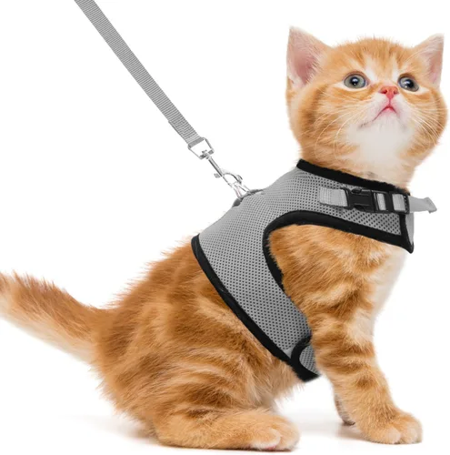Miniatura 19 de PUPTECK Juego de arnés y correa de malla suave para gatos, arnés acolchado para mascotas, a prueba de escape, para gatos, perros pequeños, conejos