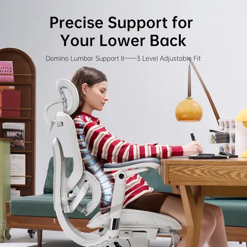 Miniatura 10 de SIHOO Doro C300 Pro V2 - Silla de oficina ergonómica sin reposapiés, soporte adaptativo de cuerpo completo, reposabrazos 8D y malla transpirable