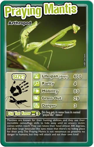 Miniatura 2 de Top Trumps Juego de cartas Bugs - Juegos familiares para niños y adultos - Juegos de aprendizaje - Juegos de cartas para niños 2 y más