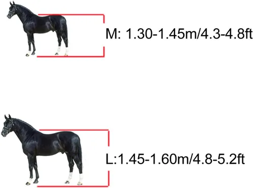 Miniatura 5 de Zerodis 4 botas de caballo, botas de tendón de caballo con frente abierto, botas ajustables y ligeras para pierna de caballo con correas de hebilla