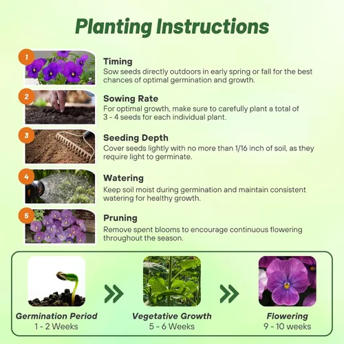 Miniatura 5 de Outsidepride Admiration Viola - Semillas de pensamiento para plantar, 1000 unidades. Flores perennes, resistentes al frío y aptas para polinizadores
