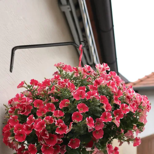 Miniatura 5 de Worth Garden - Paquete de 6 soportes de ménsula para colgar plantas de 10 pulgadas, gancho de pared de hierro forjado con recubrimiento de polvo