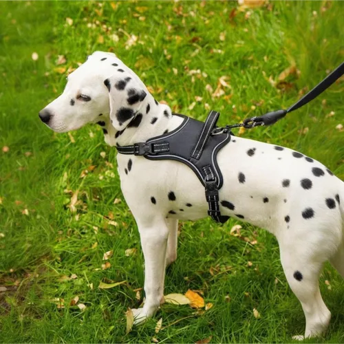 Arnés para perro sin tirones, ajustable, reflectante, Oxford, para perros pequeños, medianos y grandes, entrenamiento de mascotas (negro, XS)