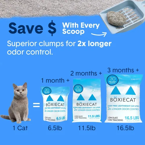 Miniatura 9 de Boxie® - Arena para gatos sin perfume para control de olores natural de 30 días, 6.5 libras, arena ligera a base de plantas para gatos