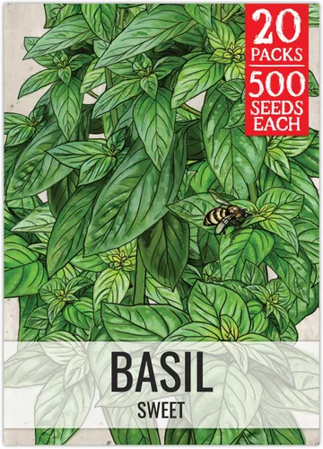 Miniatura 30 de Seed Needs Semillas de albahaca para plantar hierbas de albahaca tailandesa, sin OMG y semillas de hierbas sin tratar para cultivar un jardín