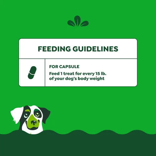 Miniatura 8 de Greenies Pill Pockets con dulces de mantequilla de maní real para perros