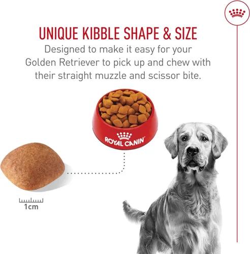 Miniatura 4 de Royal Canin Breed Health Nutrition Golden Retriever - Alimento seco para perros adultos, bolsa de 5 libras