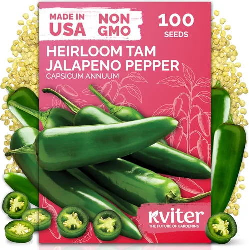 Miniatura 15 de KVITER 325 semillas de tomates gigantes (Solanum lycopersicum) – Filete de ternera paquetes de semillas de tomate – Tomates tradicionales – Semillas