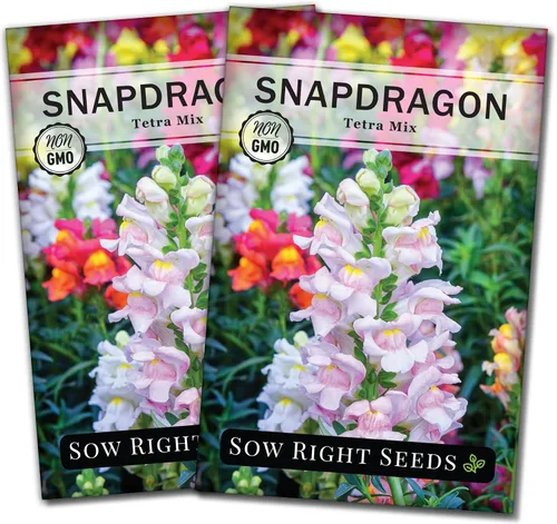 Miniatura 7 de Sow Right Seeds - Semillas de snapdragon mix tetra para plantar - Paquete sin OMG y reliquia con instrucciones para cultivar - Espigas anuales
