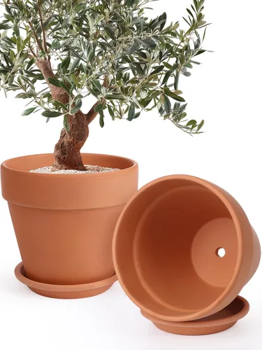 Miniatura 16 de INGOFIN Macetas de terracota de 4 pulgadas con platillos, paquete de 8 macetas de arcilla poco profunda con agujeros de drenaje para suculentas