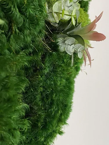 Miniatura 5 de Luxury Round Framed with Light Green Moss Art Luxury Vertical Garden Wall Designed Home Decor Office Commercial