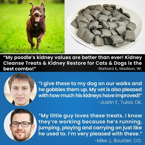 Miniatura 8 de Golosinas Depuradoras de Riñón para Perros Bajas en Proteína con Tocino 20 Oz. Golosinas para Perros para Apoyo Renal. Golosina de Dieta de Comida