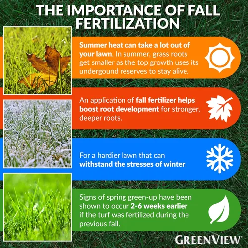 Miniatura 5 de GreenView. Fertilizante de eficiencia mejorada con alimento de otoño para césped GreenSmart, Blanco