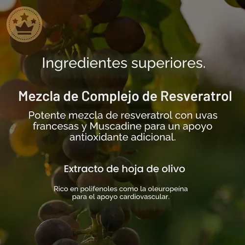 Miniatura 7 de NAOMI Bergamota Cítrico Italiano 500mg + Resveratrol, Desarrollado por un Cardiólogo Premiado, Apoya el Colesterol Normal y la Función Celular