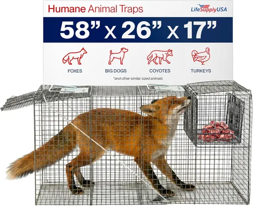 Miniatura 12 de Trampa humana para gatos callejeros de 24 pulgadas, jaula de animales vivos para gatitos salvajes, zarigüeya, mapache, conejo, armadillo, trampa