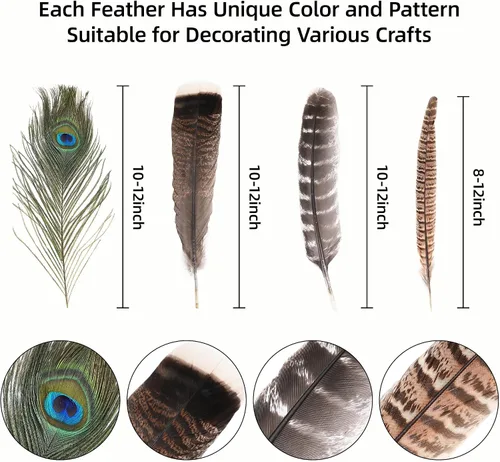 Miniatura 5 de Ballinger Plumas de faisán naturales grandes – 8-12 pulgadas, 4 estilos, 15 plumas de manualidades surtidas a granel, plumas de pavo real faisán