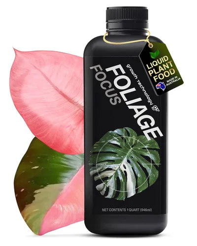 Miniatura 4 de Growth Technology GT Flower Focus alimento líquido para plantas en maceta y jardines al aire libre – Apoya la floración, follaje saludable, plantas