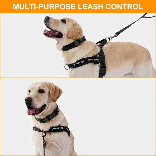 Miniatura 5 de Annchwool Arnés para perro sin tirones, juego de collar y correa reflectante resistente - Correa para perro con doble asa y clip de cinturón