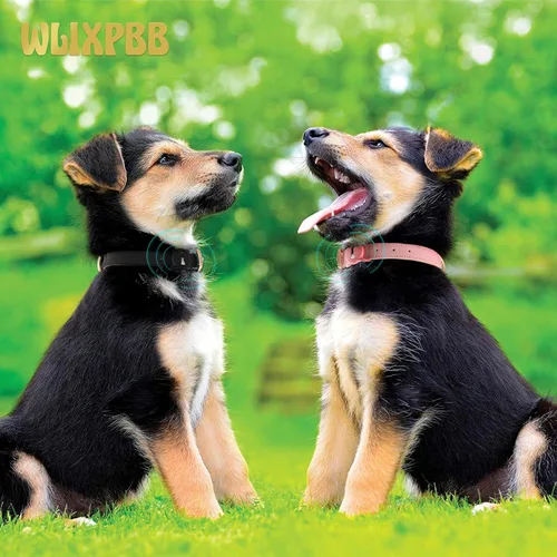 Miniatura 3 de Airtag - Collar de cuero para perro pequeño, mediano y grande, ajustable, suave, acolchado, collar de cachorro, collar de hebilla de metal Rosa