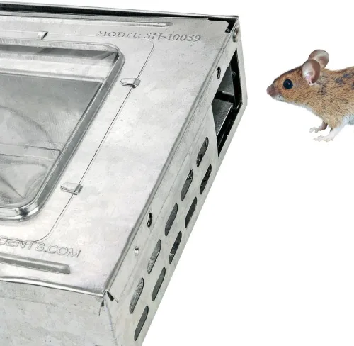 Miniatura 6 de iTrap - Trampa para ratones humanitaria con tapa transparente, estilo repetidor, paquete de 4 unidades para el hogar y la oficina, control seguro