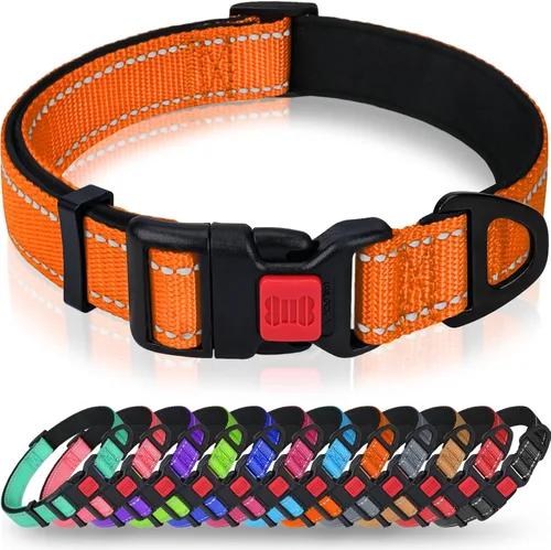 Miniatura 13 de Taglory Collar reflectante para perro con hebilla de bloqueo de seguridad, collares ajustables de nailon para mascotas para perros grandes, hembras