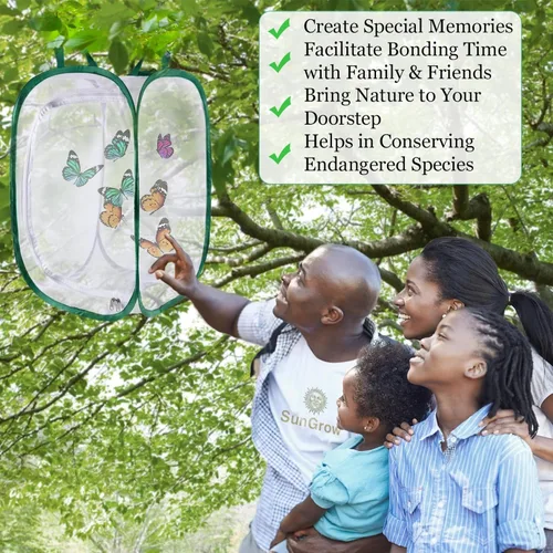 Miniatura 5 de SunGrow Hábitat plegable de mariposa, jaula de mariposa de 24 pulgadas para orugas, granja de creación, recinto para la cría de moscas soldadas