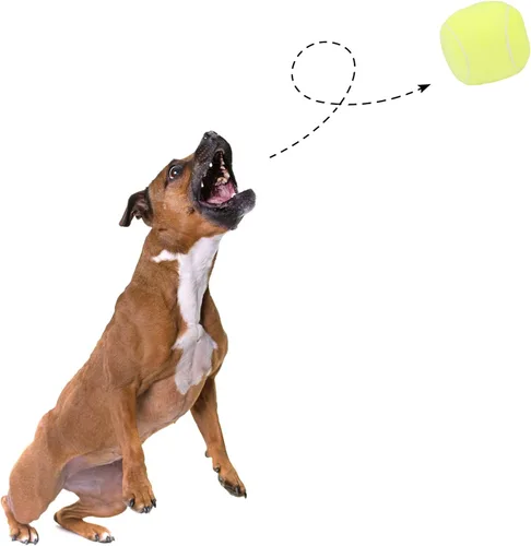 Miniatura 5 de Pelotas interactivas para perros, paquete de 2 pelotas de felpa chirriantes para perros, pelota de tenis, rugby para perros, pelota de juguete