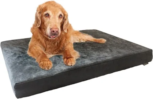 Dogbed4less Cama ortopédica para mascotas con espuma viscoelástica para mascotas medianas y grandes, forro impermeable, funda lavable de microgamuza