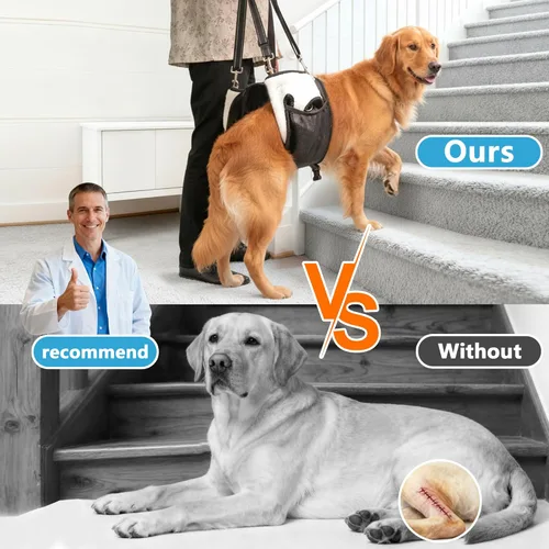Miniatura 2 de Arnés doble uso para perro SyFatWeen con soporte para las patas traseras y cadera, cabestrillo canino para elevación de perro, ajustable y suave
