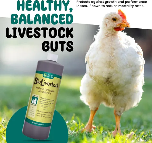Miniatura 3 de SCD Bio Livestock - Aditivo líquido probiótico para piensos y agua, suplemento digestivo orgánico para vacas, cerdos, caballos, pollos, patos
