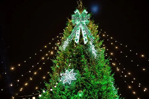Miniatura 3 de ALIBBON Arcos LED grandes para coronas, lazos de corona de San Patricio, lazos de trébol verde con purpurina para manualidades, decoración irlandesa