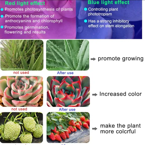 Miniatura 2 de Flores de interior Frutas Planta de jardín Cultivo Accesorios de luz Temporización Jardinería Cultivo Lámpara de crecimiento de plantas acuáticas